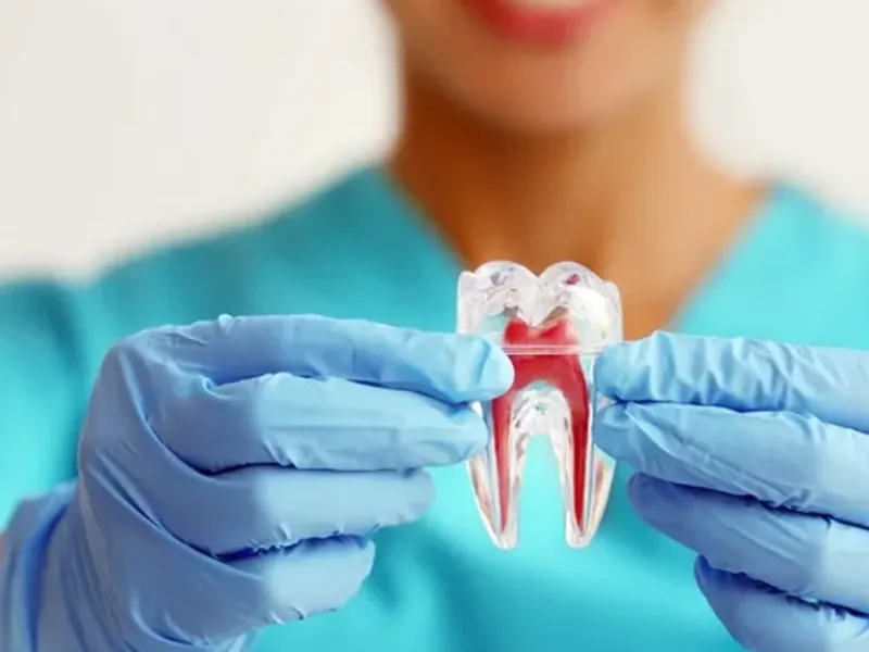 Endodontia